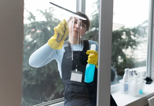 Nettoyage de vitres intérieures et extérieures à Sarroux - Saint Julien